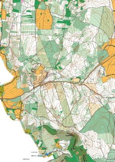 Bois des brosses 10 000 ancienne carte.jpg